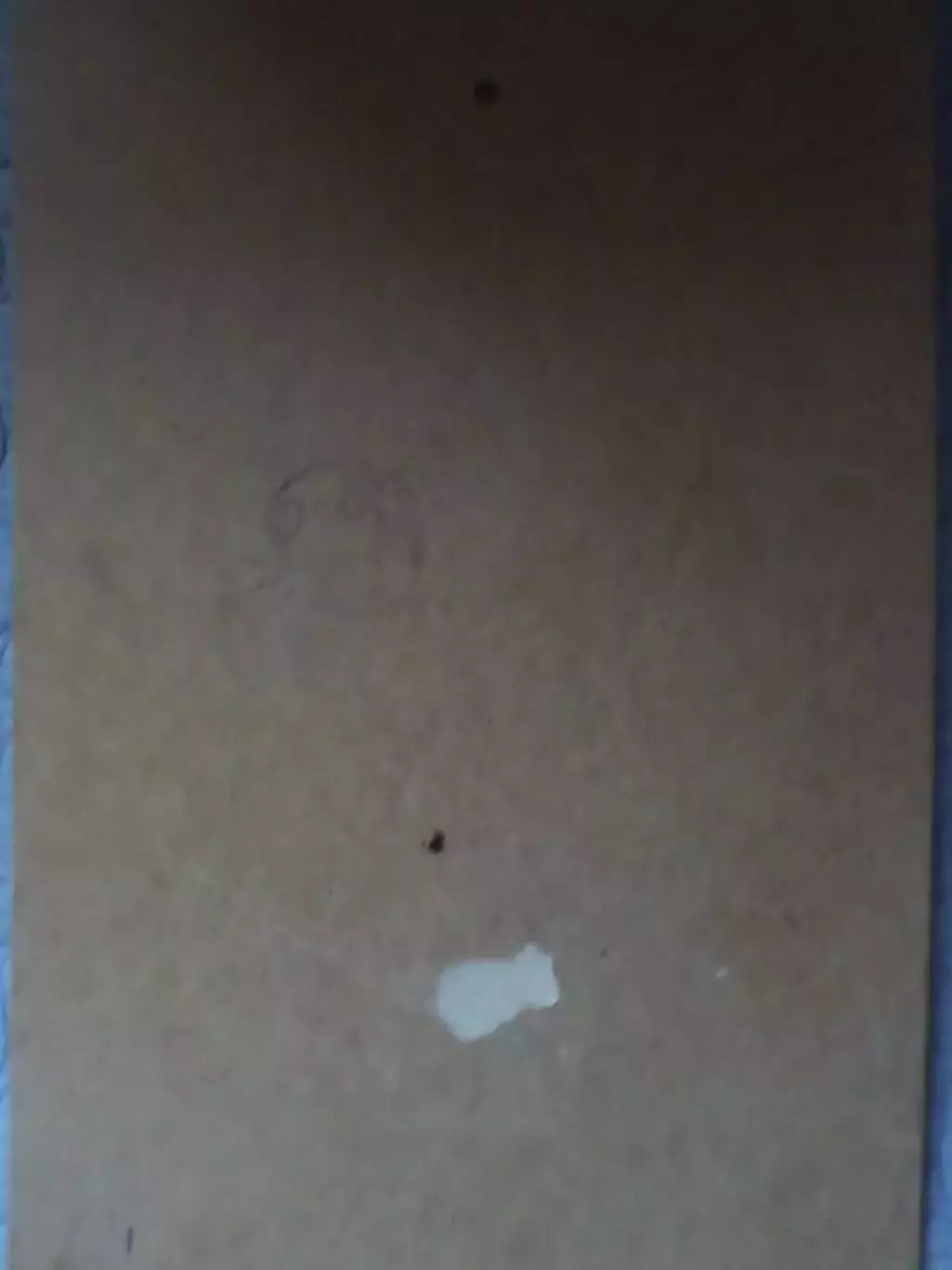 Панно Тарас Шевченко 1