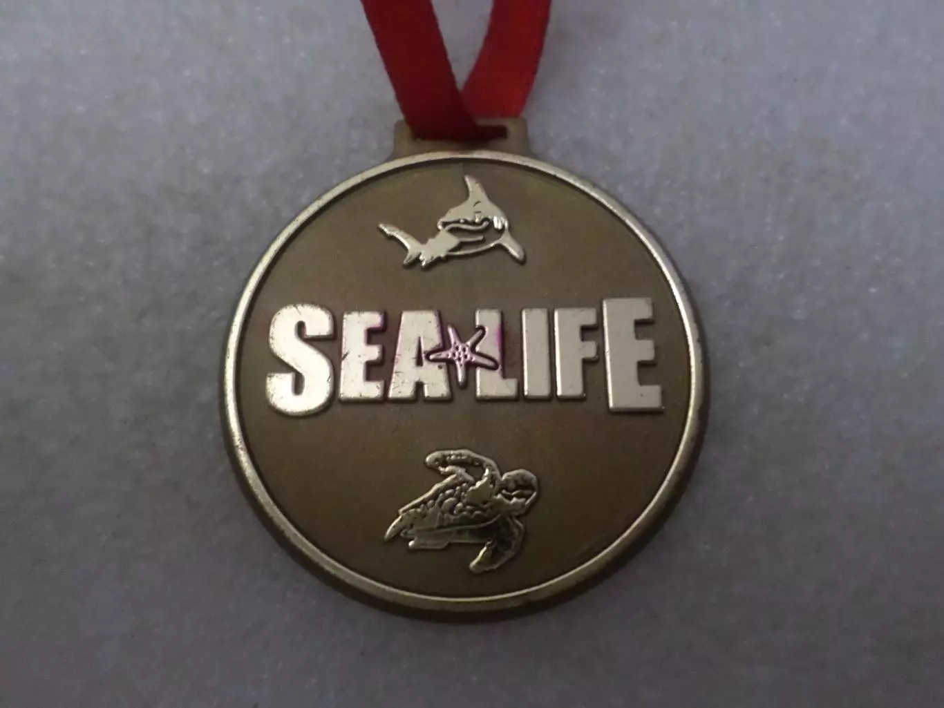 медаль Забота о наших океанах