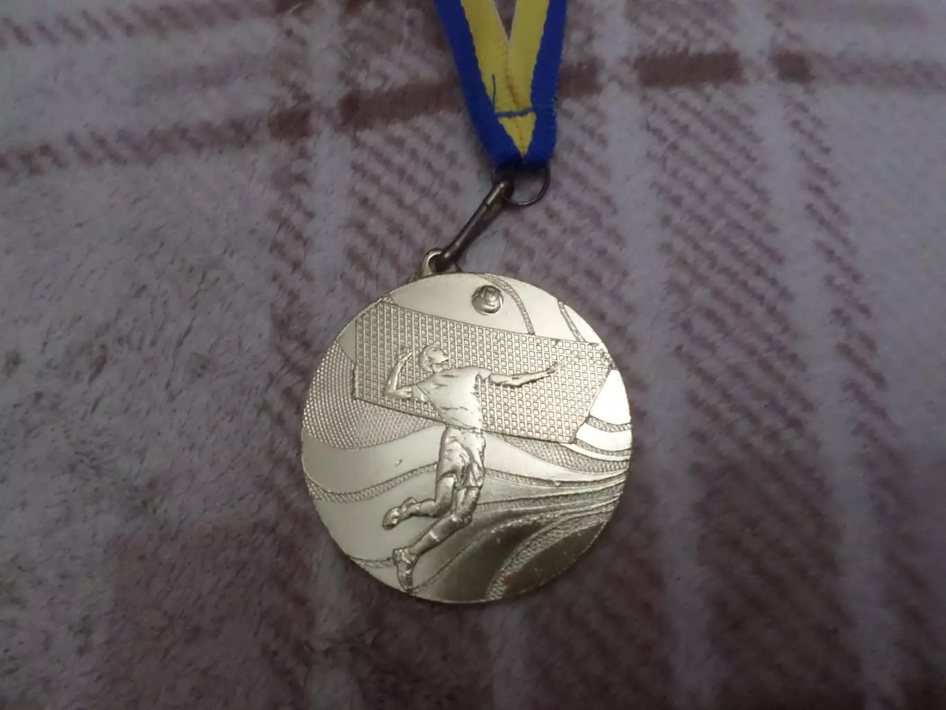 Медаль Волейбол турнир памяти Ивана Третьяка г. Днепропетровск 2016 г