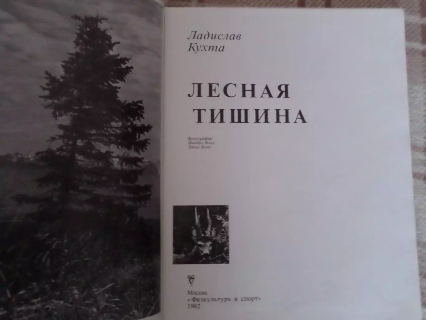 фотоальбом Лесная тишина 1