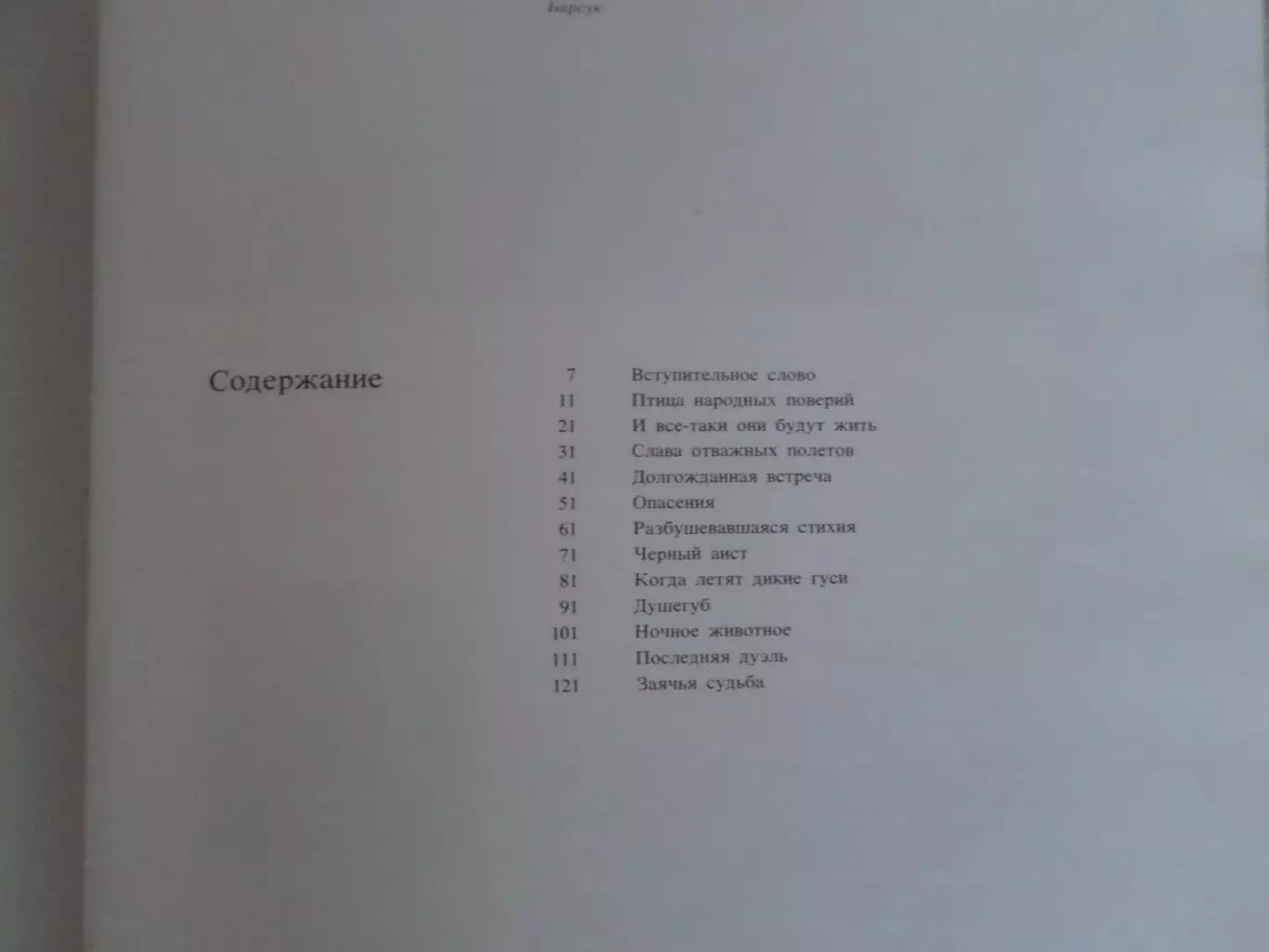 фотоальбом Лесная тишина 2