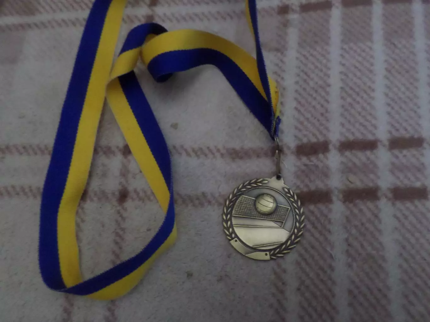 Медаль Волейбол.