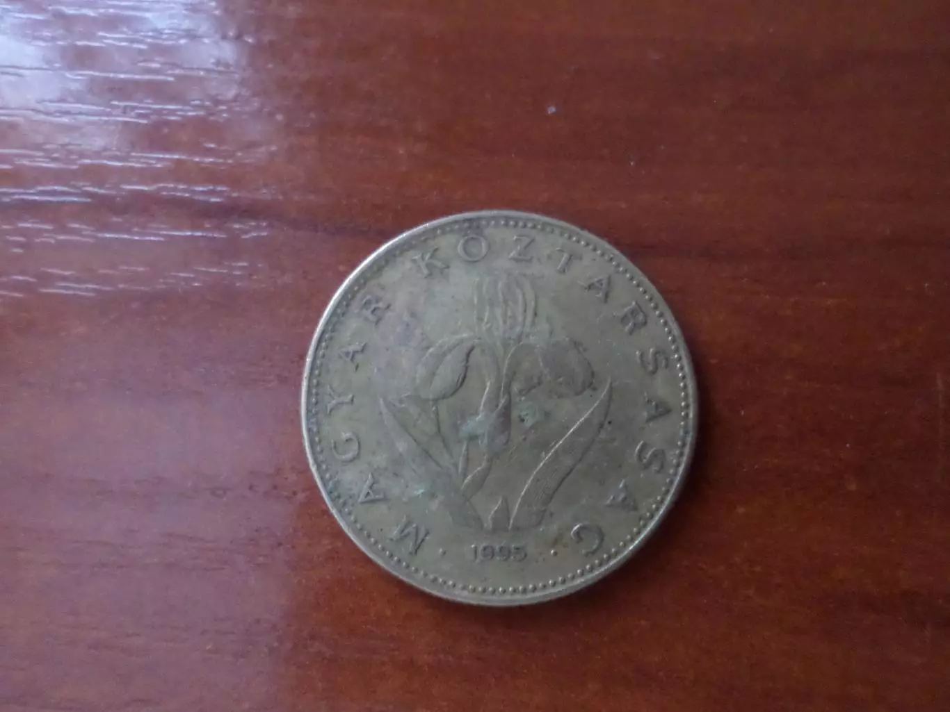 Монета 20 форинтов Венгрия 1995 г 1