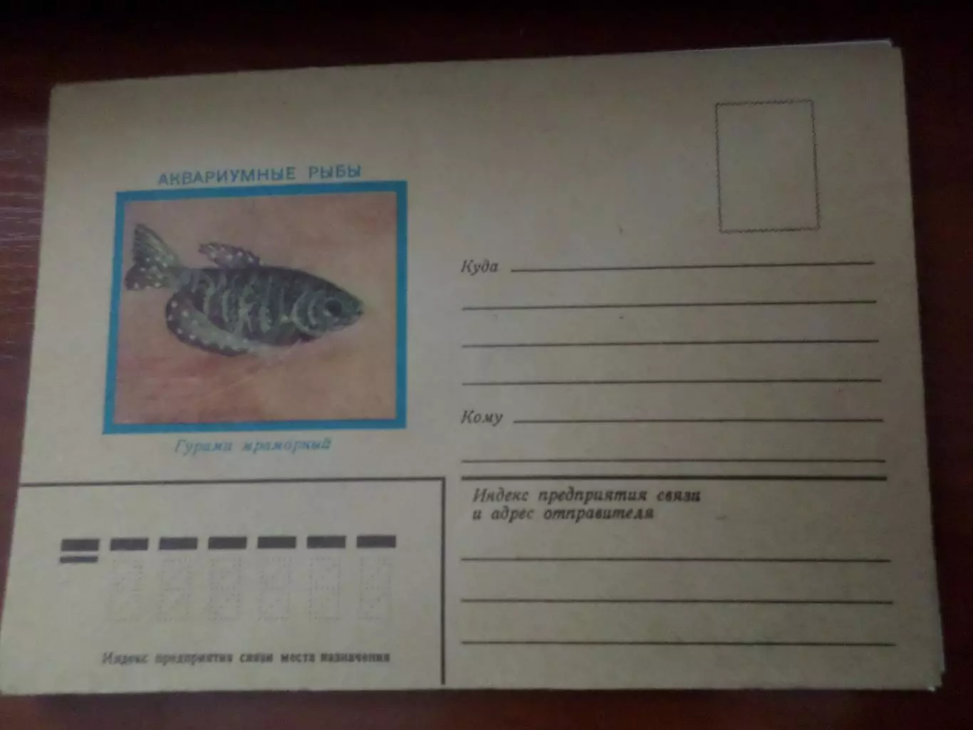 конверт СССР аквариумные рыбы 1982 г