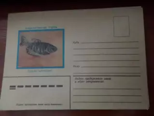 конверт СССР аквариумные рыбы 1982 г