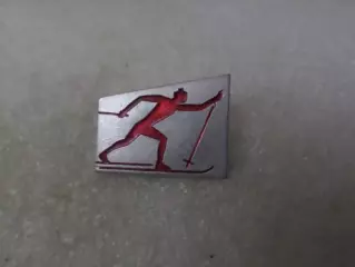 значок спорт Лыжный спорт