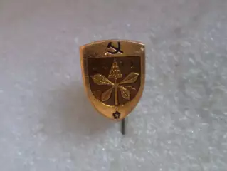 Значок город Киев.