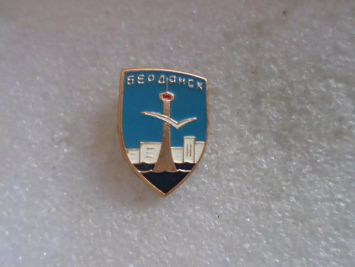 Значок город Бердянск