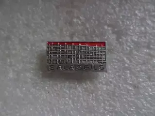 значок г. Саласпилс