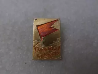 Значок Брестская крепость