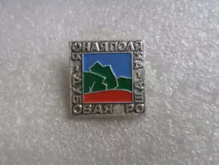 значок Ясная Поляна