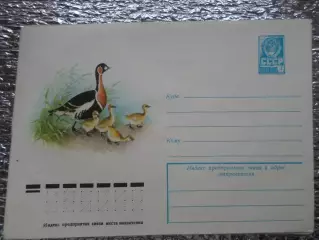 конверт СССР ХМК Краснозобая казарка 1978 г