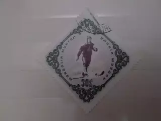 Марки Монголия Лыжный спорт гаш