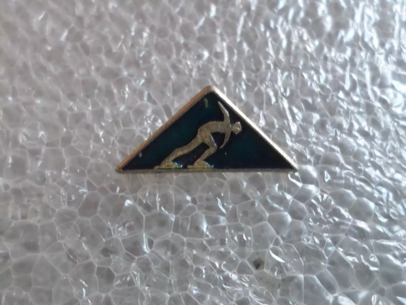 значок Конькобежный спорт