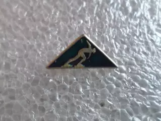 значок Конькобежный спорт