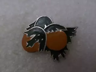 Значок Орех