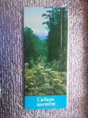 набор открыток Сибирь цветет 1973 г