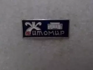 Значок Житомир