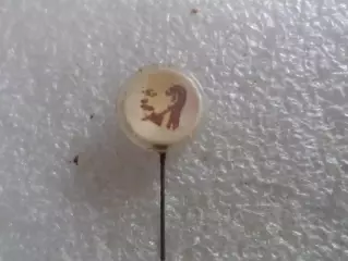 Значок В Ленин