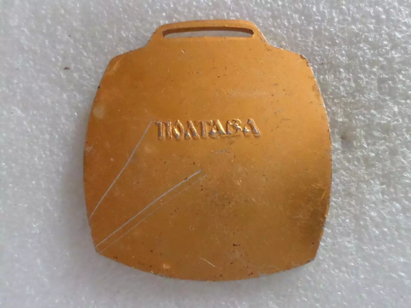 Медаль пионерлагерь Василек г. Полтава 1