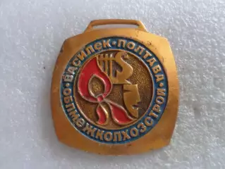 Медаль пионерлагерь Василек г. Полтава