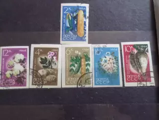 марки СССР флора Растения и овощи 1964 г гаш беззубцовка