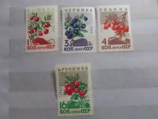 марки СССР флора Ягоды 1964 г негаш