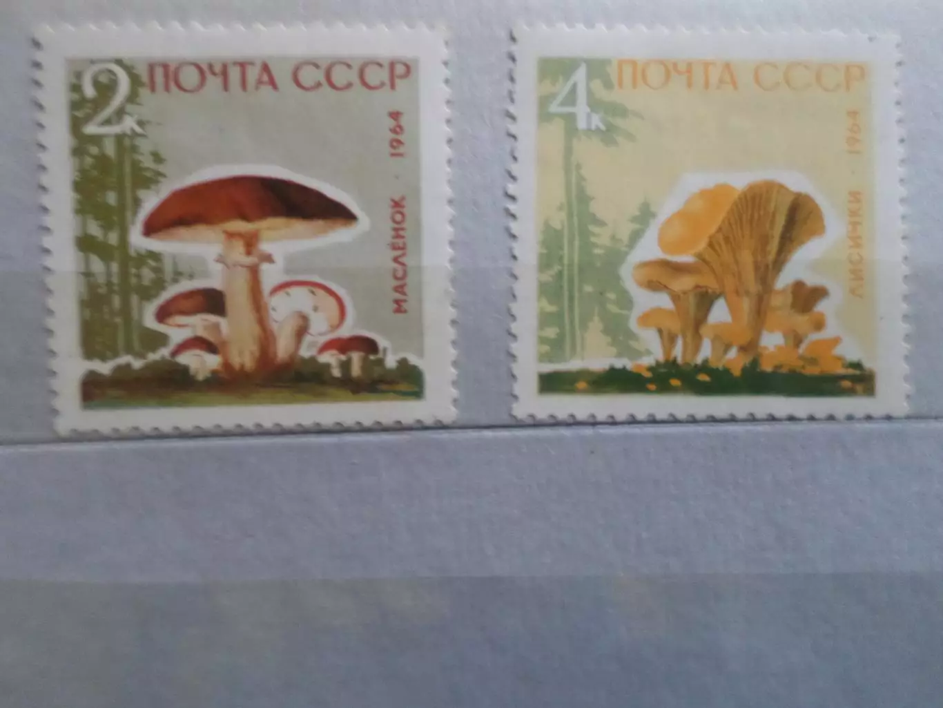 марки СССР флора Грибы 1964 г негаш