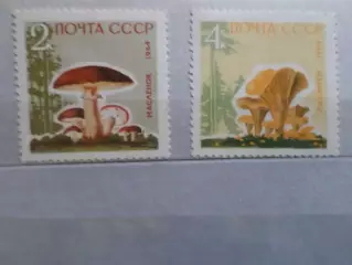 марки СССР флора Грибы 1964 г негаш