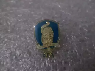 Значок Федерация футбола Южная Корея