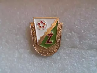 Значок Жальгирис Вильнюс.