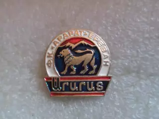 Значок Арарат Ереван.