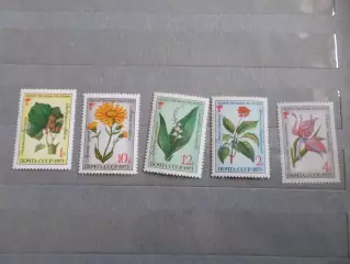 Марки СССР флора Лекарственные растения 1973 г негаш