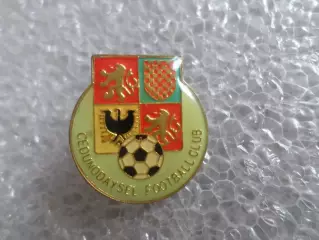 Значок Федерация футбола Чехия