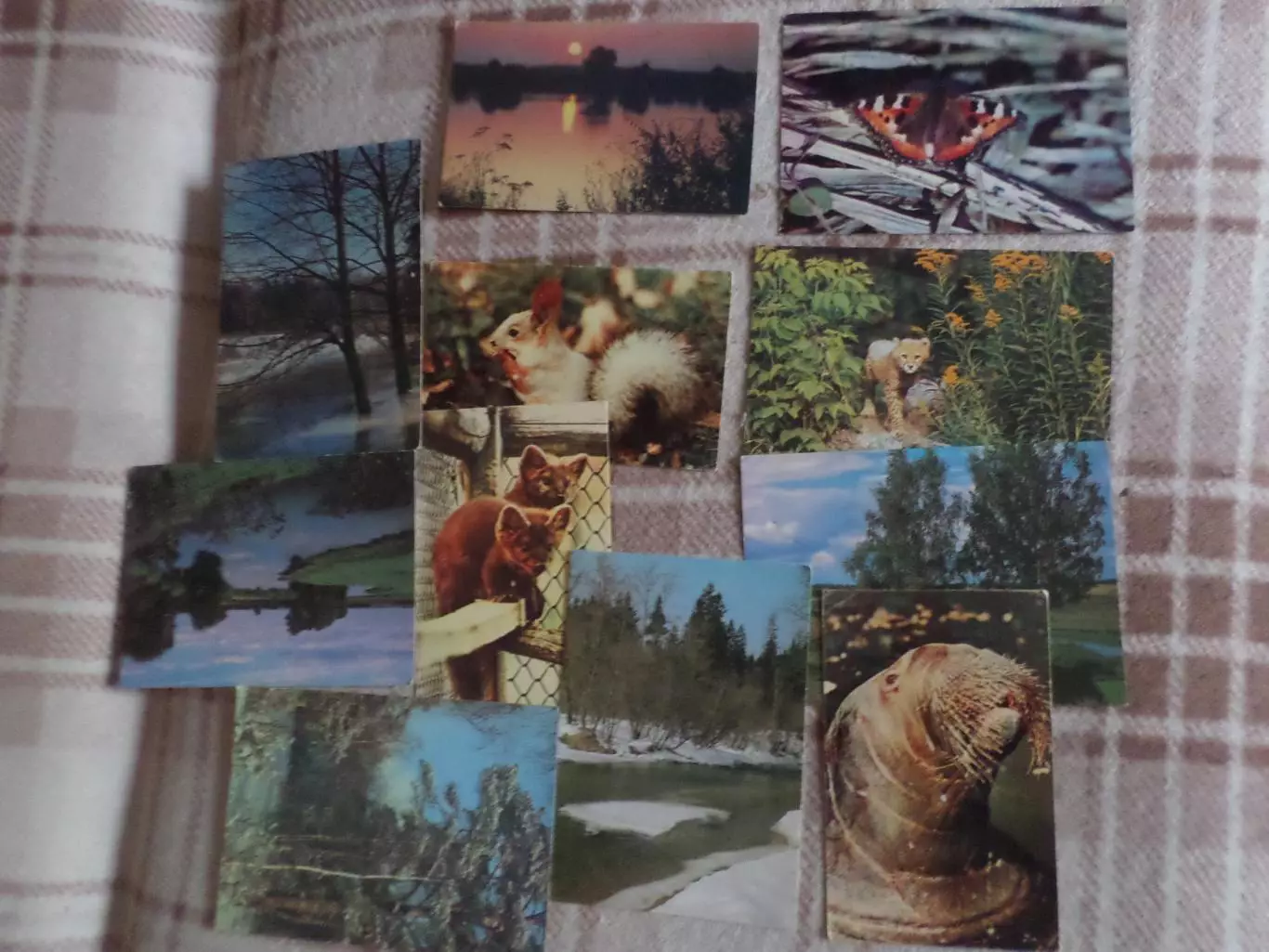 открытки Природа 11 шт чистые