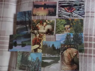 открытки Природа 11 шт чистые