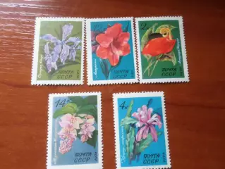 Марки СССР флора Цветы 1971 г негаш