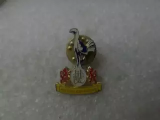 Значок ФК Тоттенхэм Англия