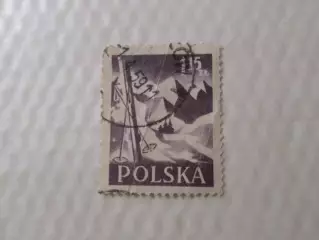 Марки Польша Горнолыжный спорт 1959 г гаш