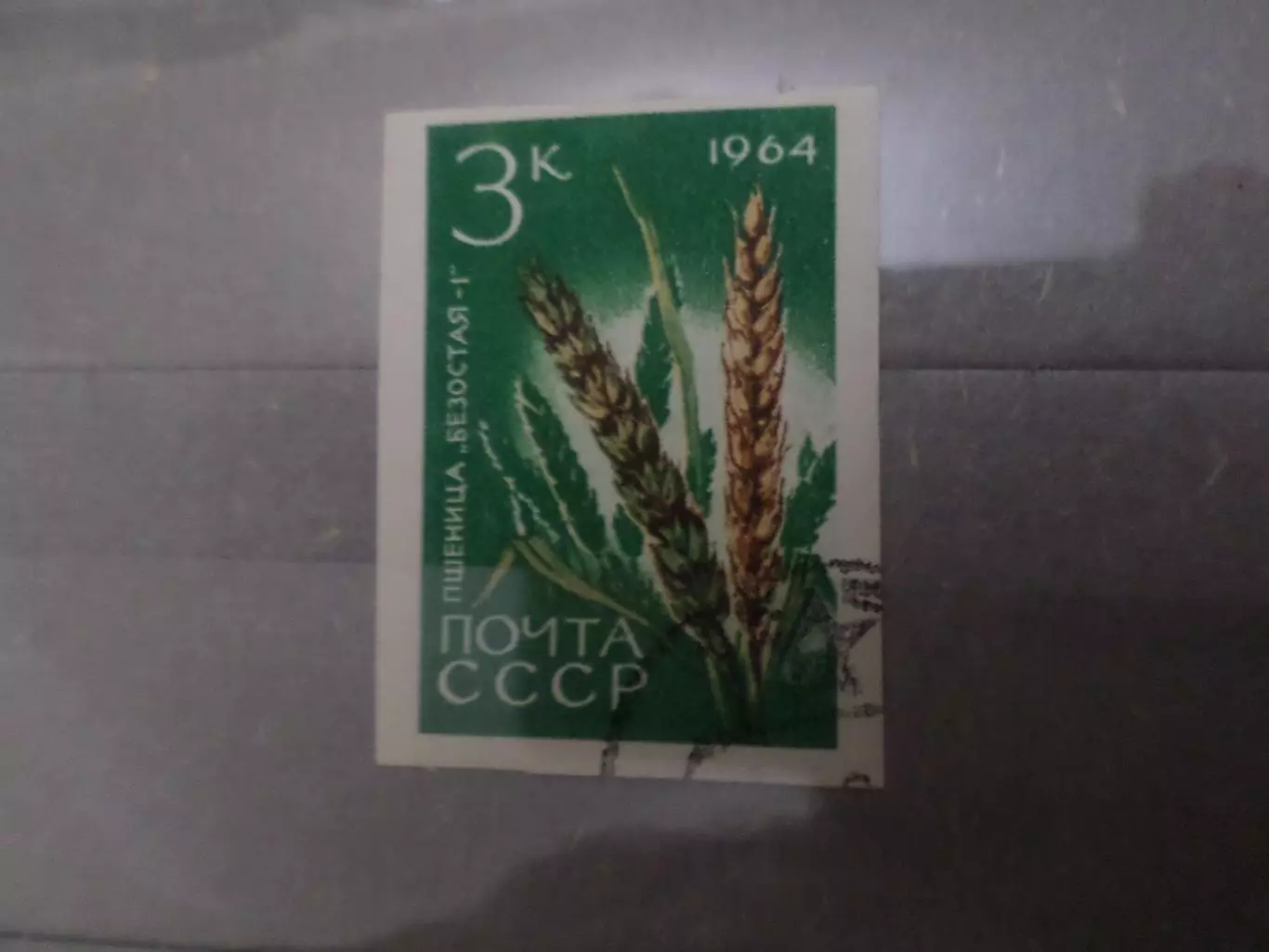 Марки СССР флора Пшеница 1964 г гаш без