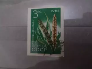 Марки СССР флора Пшеница 1964 г гаш без
