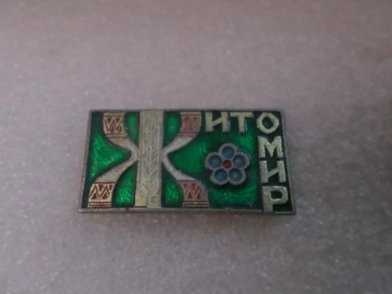 Значок город Житомир