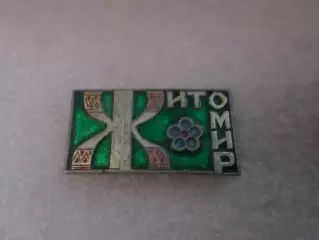 Значок город Житомир