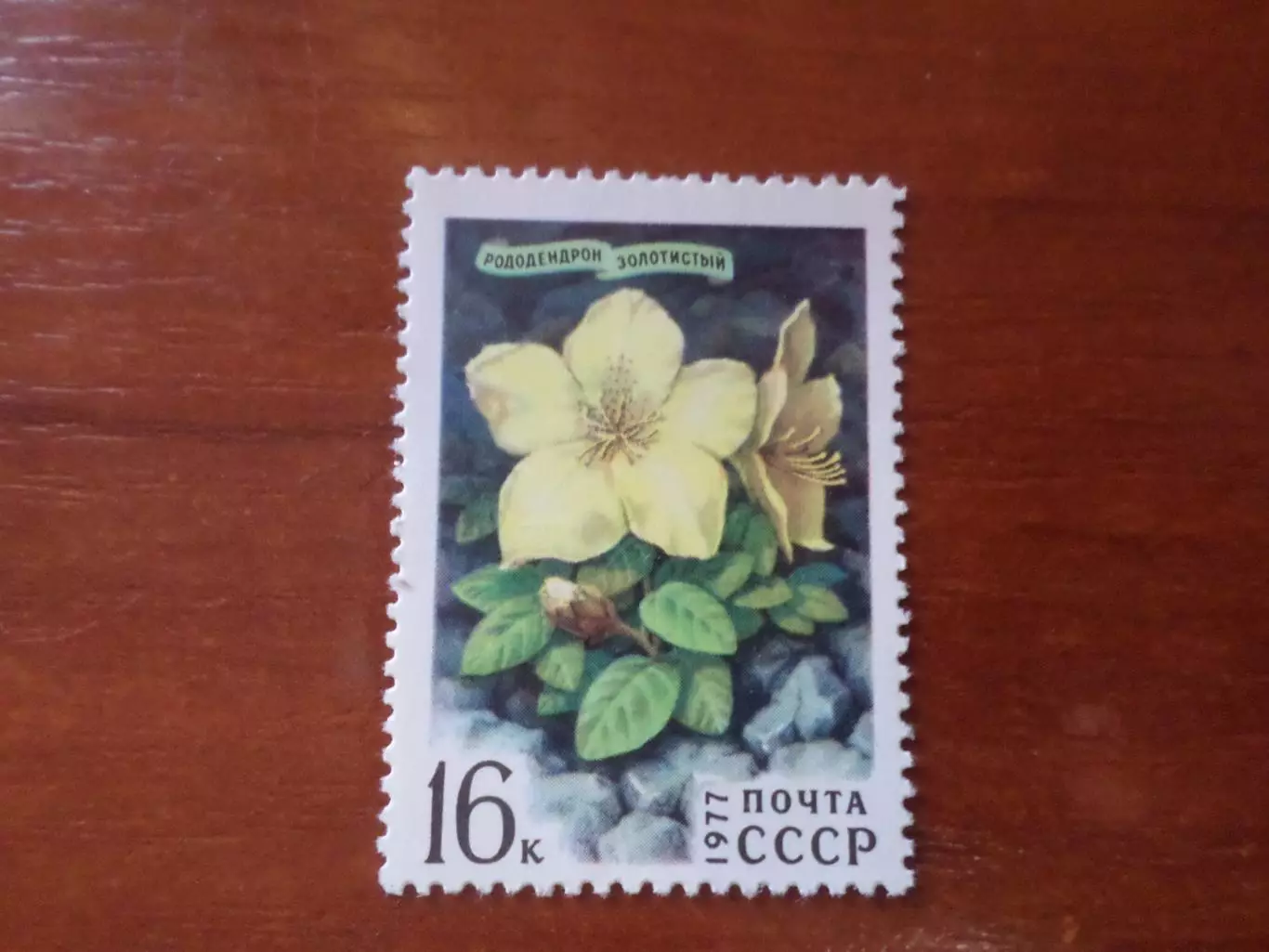 Марки СССР флора Цветы 1977 г