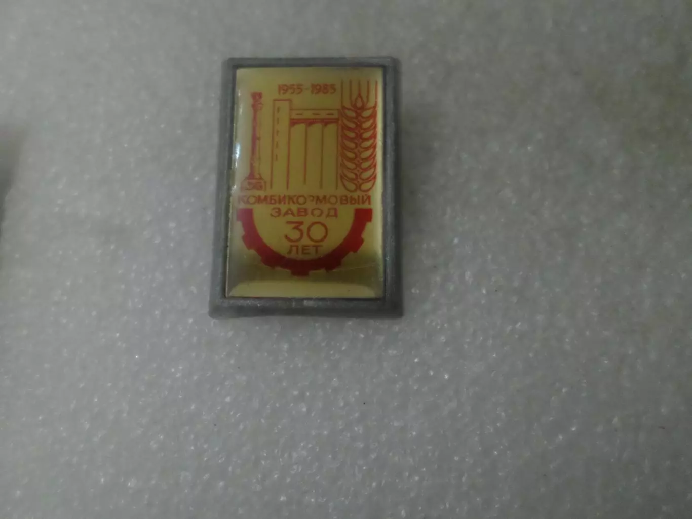 Значок 30 лет Комбикормовый завод 1955-1985 гг