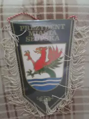 вымпел от мэра г. Слупска Польша