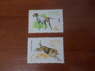 Марки СССР фауна Собаки 1965 г негаш