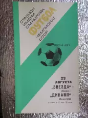 программа Динамо Ленинград - Звезда Пермь 1977 г