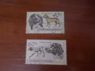 Марки Чехословакия фауна Собаки 1973 г гаш