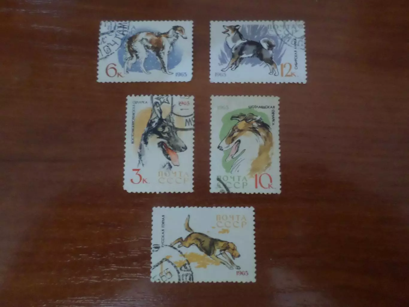 Марки СССР фауна Собаки 1965 г гаш